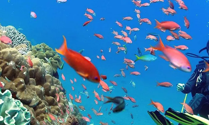 bali best destination - Special packed trip to nusa penida
