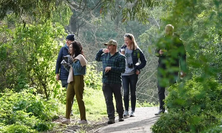 Private Exploration of the Birds of San Francisco