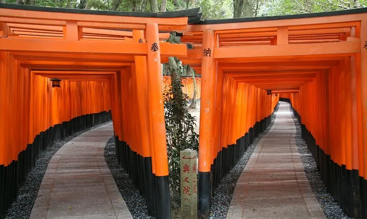 PERFECT KYOTO 1Day Bus Tour