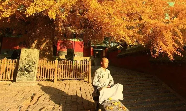 2-Day Private Tour from Qingdao with Hotel: Shaolin Temple and Longmen Grottoes