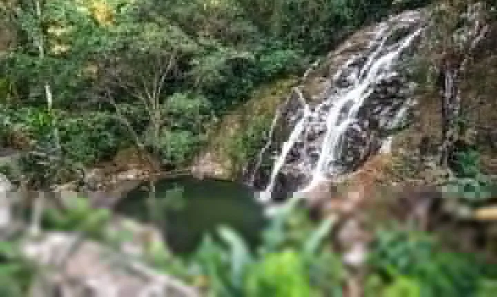 Minca day-trip and Coffee Farm Visit from Santa Marta