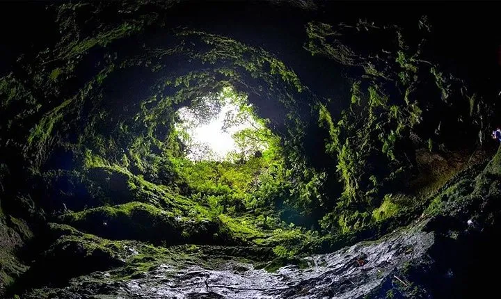 Cave Tour in Terceira