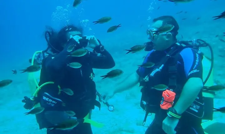 Padi Open Water Certificate in Andros Island