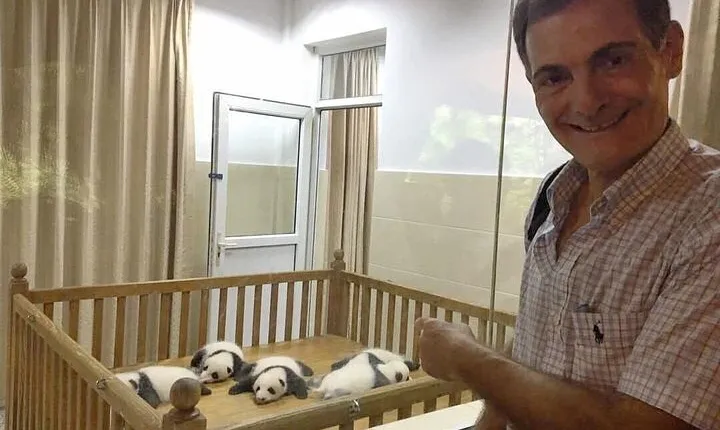 Private Chengdu Layover Panda Tour