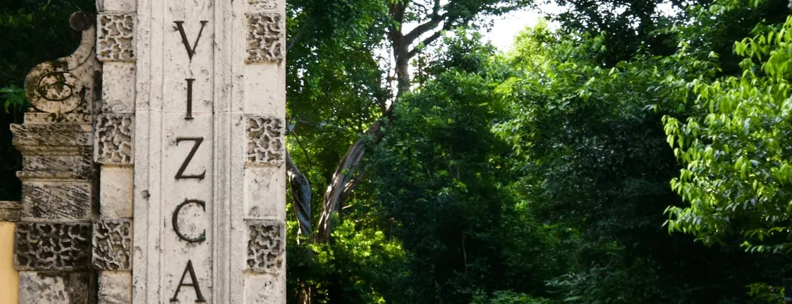 Vizcaya Museum and Gardens with transportation