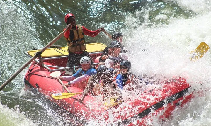Victoria Falls: Whitewater Rafting + Chobe Safari Combo