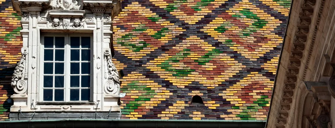 Dijon 2-hour introductory walking tour with a local