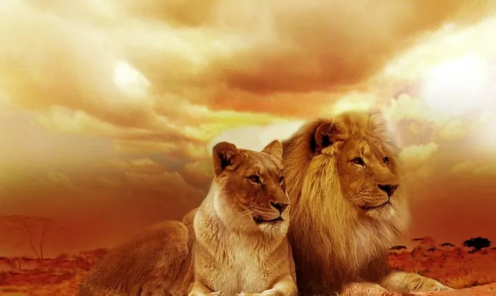 2 Days explore to Tarangire Park, Ngorongoro crater and lake Manyara (comfort)