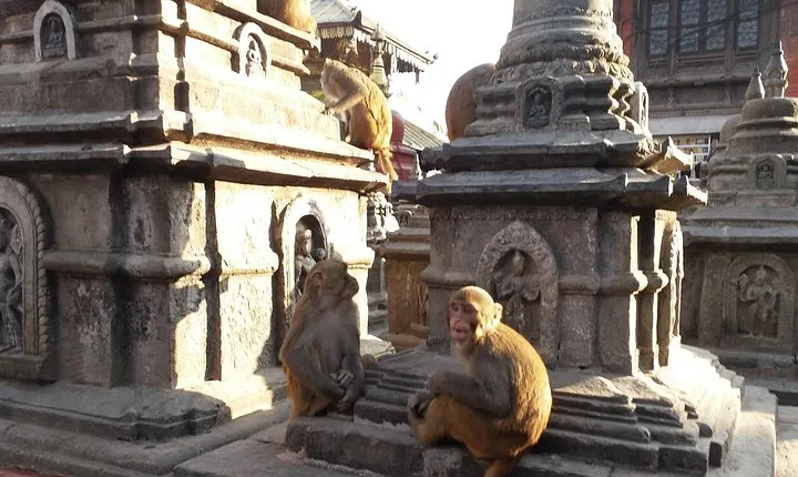 Seven UNESCO World Heritage Sites Day Tour of Kathmandu Velley