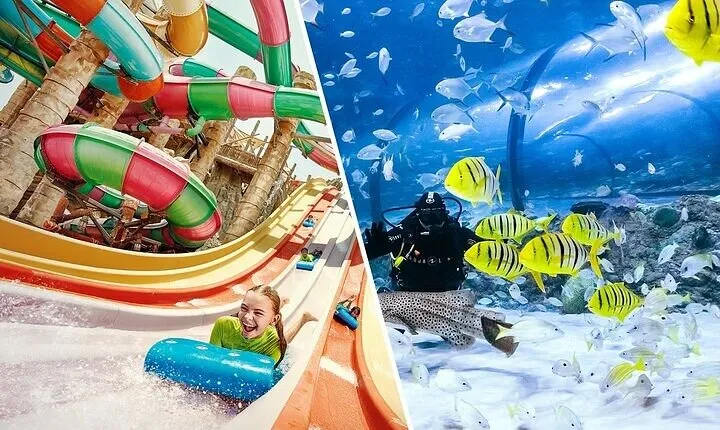 Yas Waterworld and The National Aquarium Tickets