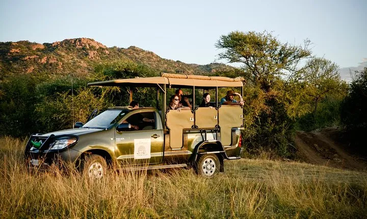 Full Day Ultimate Pilanesberg National Park Safari from Johannesburg or Pretoria