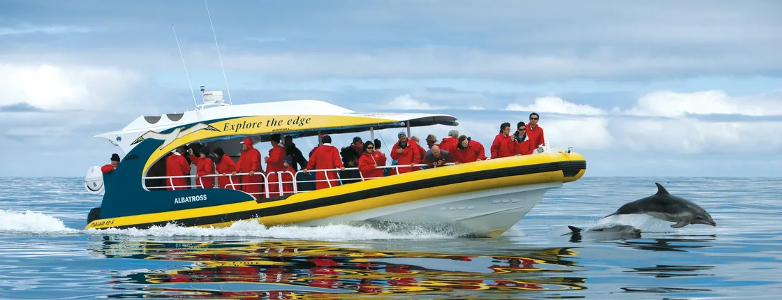 Tasman Island 3-hour wilderness cruise