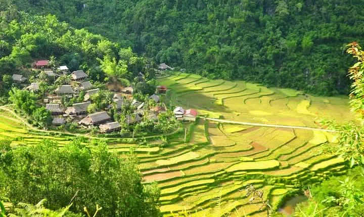 3-Day Trekking In Pu Luong Nature Reserve Private Tour