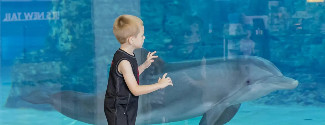 Clearwater Beach with transportation and aquarium