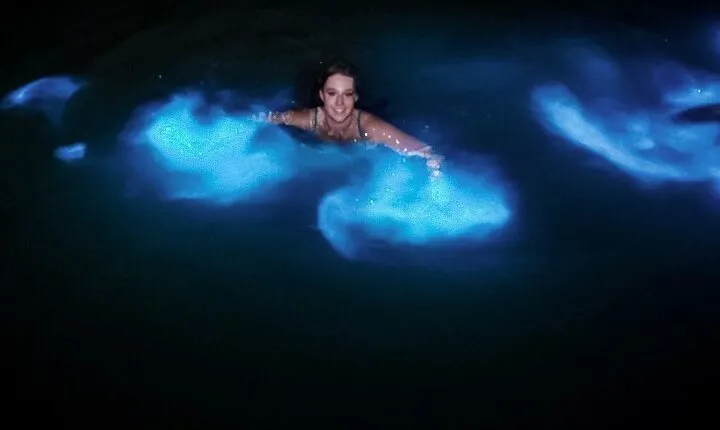 Luminous Lagoon from Montego Bay