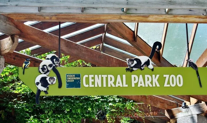 Visit Central Park Zoo & 3h Manhattan Walking Tour