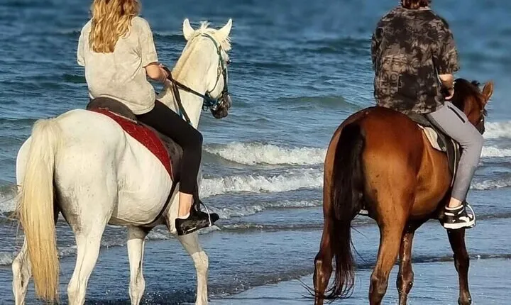 Desert & Sea on Horseback: 2-Hour Ride in Sharm El-Sheikh