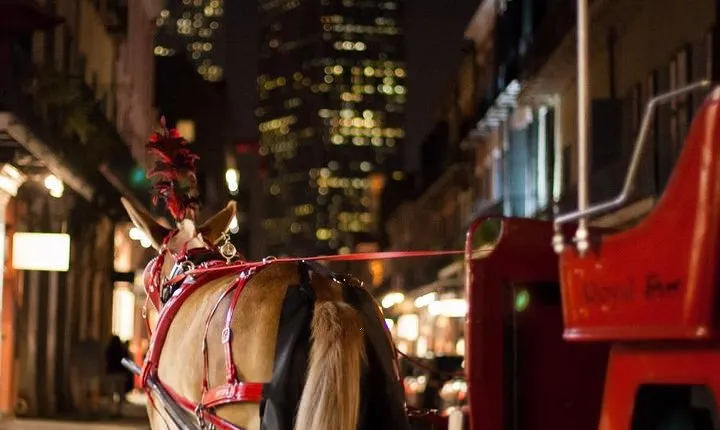 New Orleans Small-Group Haunted History Carriage Tour