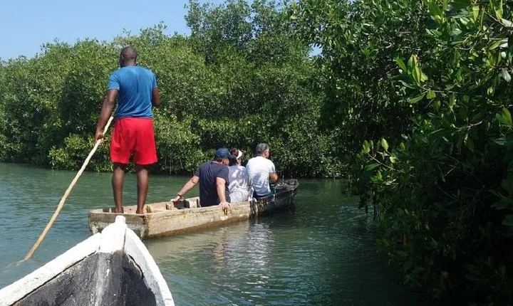 Cartagena canoe mangroves