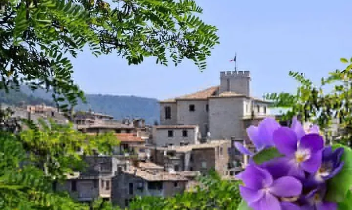 Countryside Half Day Private Tour 