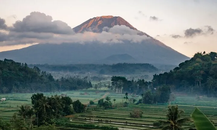 Bali Private Driver For Tour in Bali