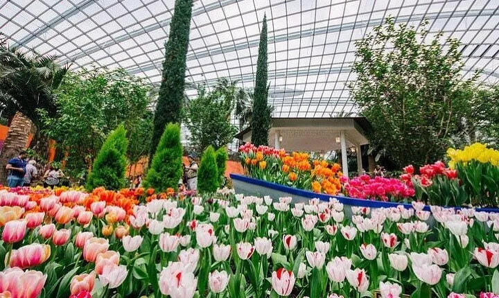 Gardens by the Bay with FD +CF featuring Jurassic World Singapore