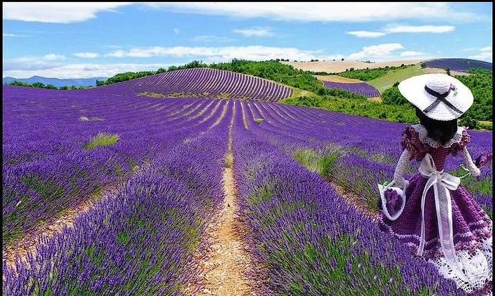 Nice: Gorges of Verdon and Fields of Lavender Tour