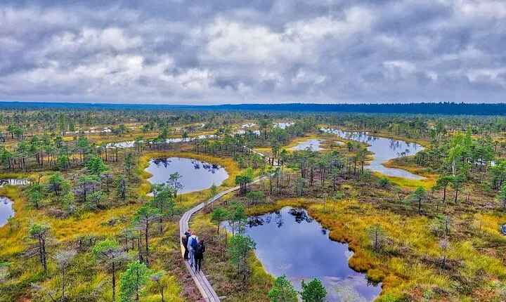 From Riga: Best of Kemeri National Park In One Day
