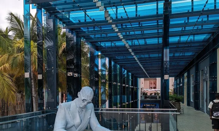 South Beach Design district Wynwood 3h French tour