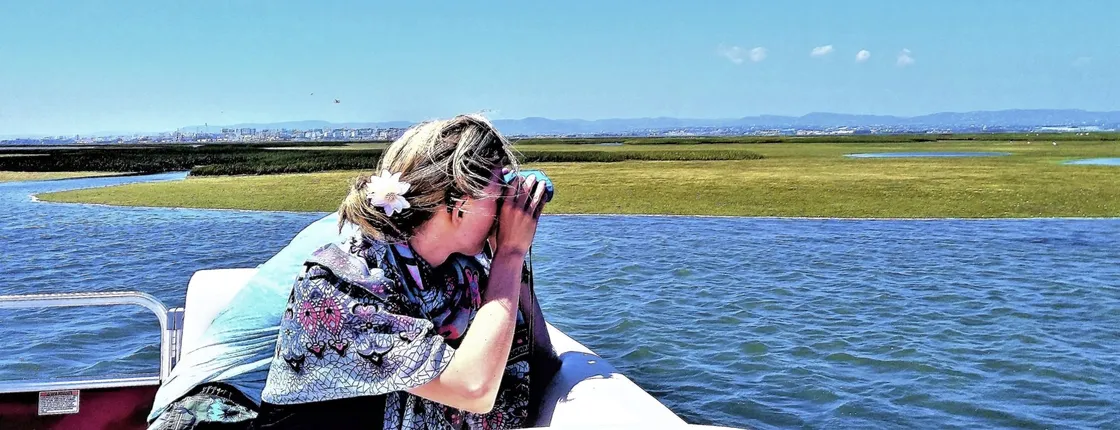 Ria Formosa Nature and Birdwatching Boat Tour