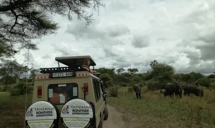3 Days Safari to Tarangire, Ngorongoro & Lake Manyara parks