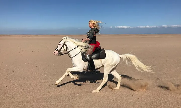 Horse Ride Trip , Bedouin Dinner And Show - Sharm El Sheikh
