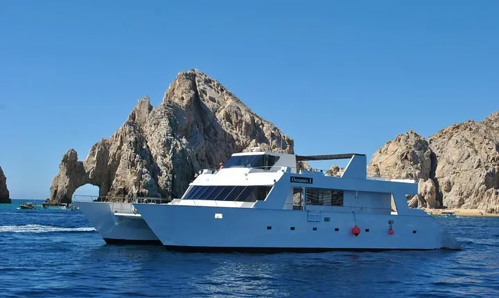 Whale Watching Cruise in Los Cabos