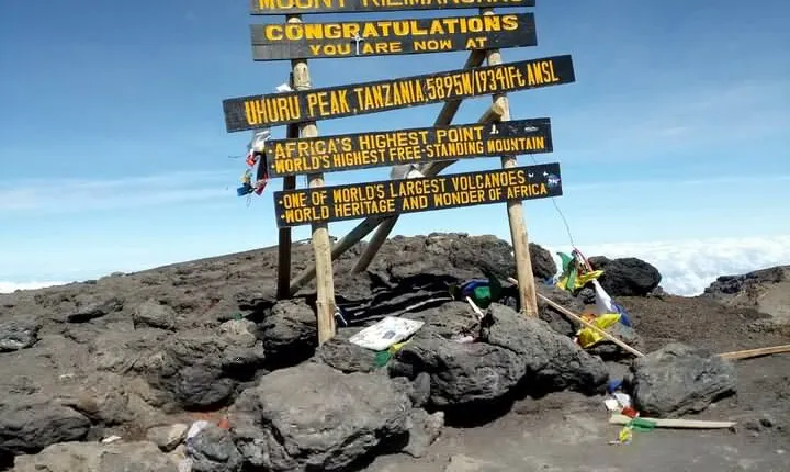 Private Day Tour and Hike in Kilimanjaro National Park