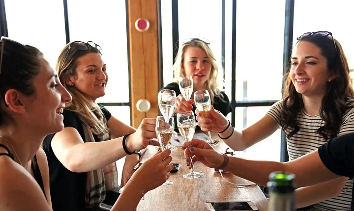 VIP Champagne Region Day Trip with 7 Tastings & Lunch from Paris