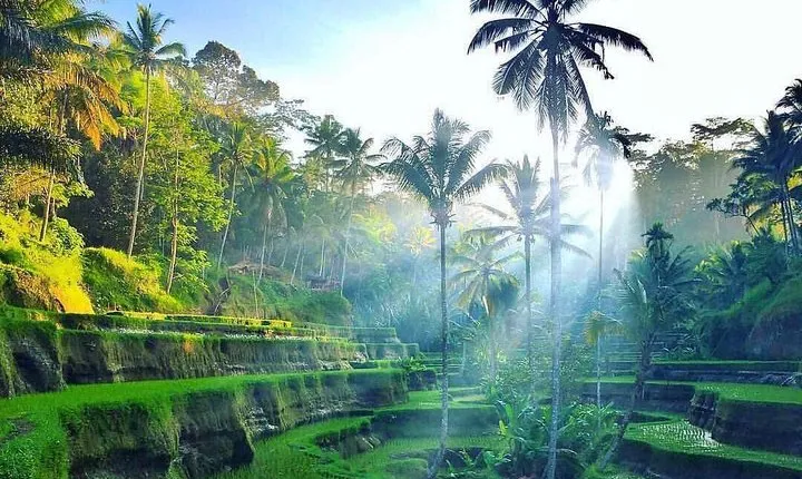 Private All Day Trip Around 4 Days in Bali " Complete Tours"