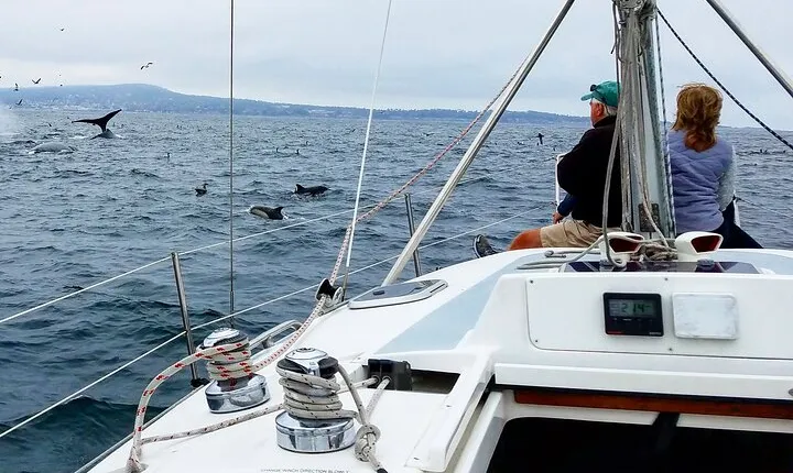 Monterey Private 3 - 4 Hour Whale Watching Cruise