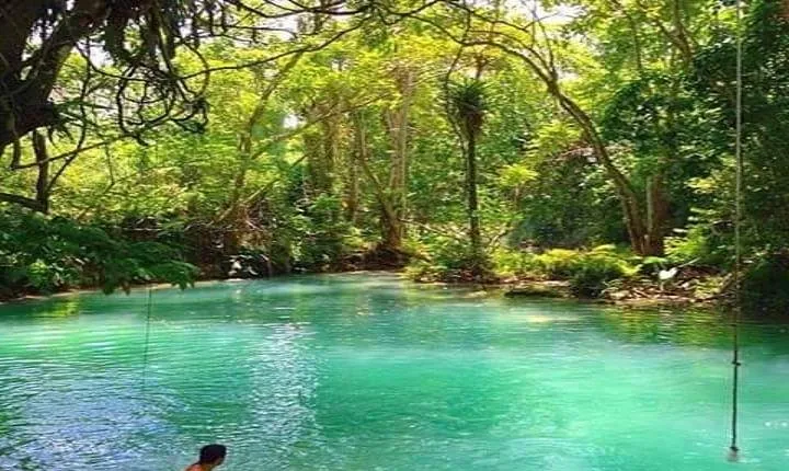 Blue Hole And White River Tubing from Ocho Rios & Runaway Bay