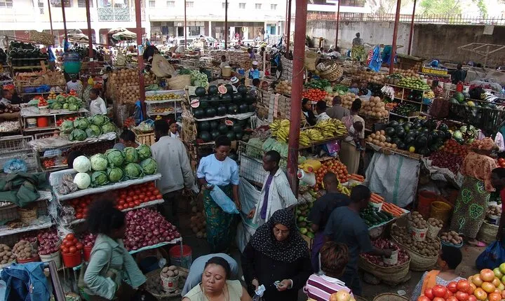 Arusha City Tour Markets Culture and Maasai Experiences