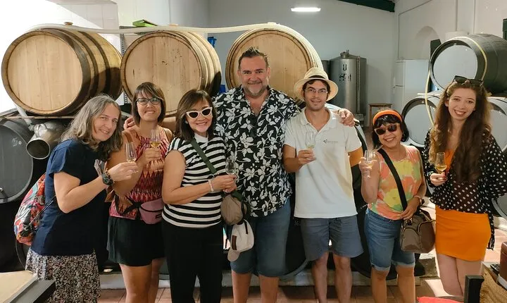 Wine Tourism Half Day Tour