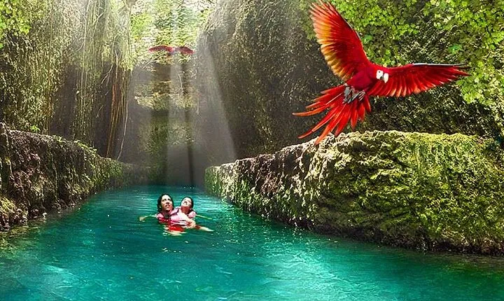 Xcaret Plus! Transportation Included from Cancun & Riviera Maya
