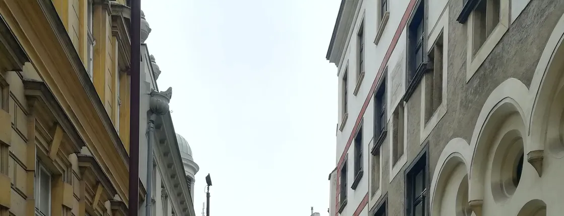 Vienna, City of Many Pasts: guided city tour with a friendly historian