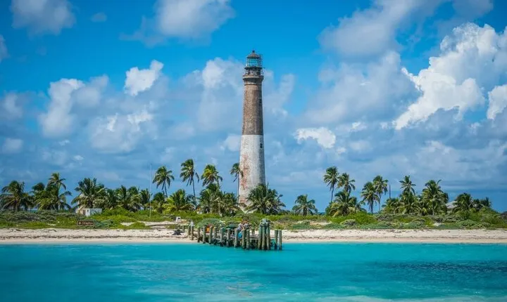 Half Day Private Tour to Islamorada Alligator Reef and Sandbar
