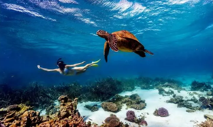 Kisite Marine Park Private Boat Snorkeling with breakfast & Lunch