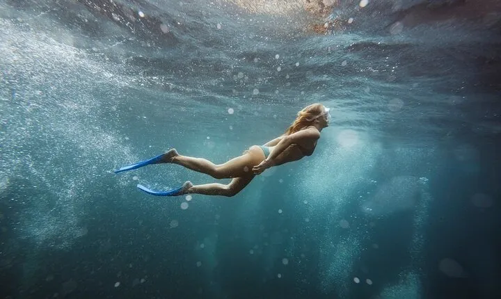 Abu Dabbab Snorkeling Trip, Explore Marine Life - Marsa Alam