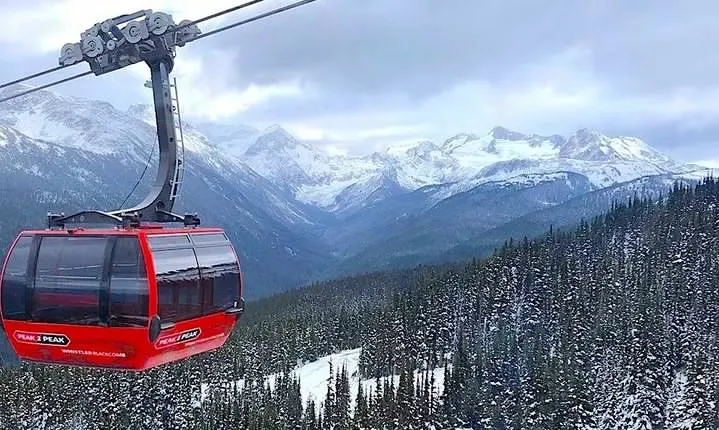 Whistler Sightseeing Tour from Vancouver: See Horseshoe Bay and Shannon Falls