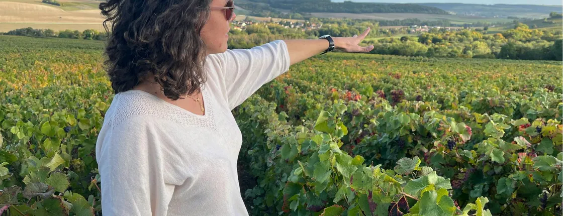 Wine Day Trip to Sancerre from Paris with Tastings and Lunch