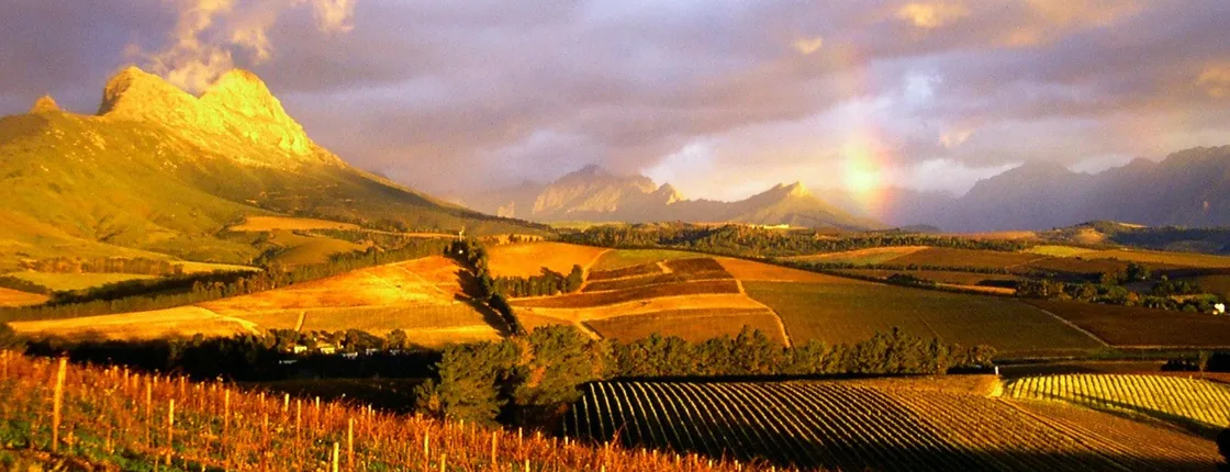 Cape Winelands full-day tour