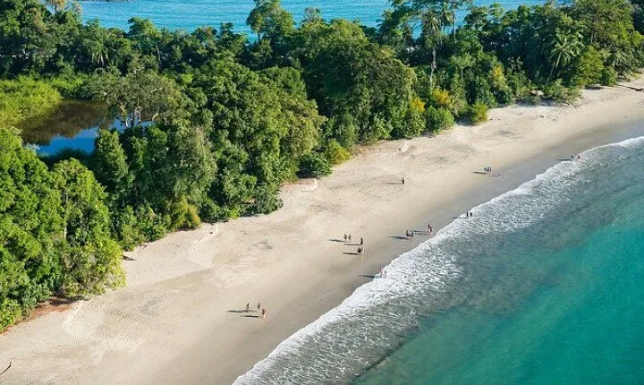 Manuel Antonio National Park Nature Walk