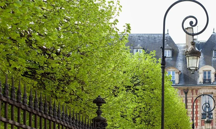 Marais semi private walking tour